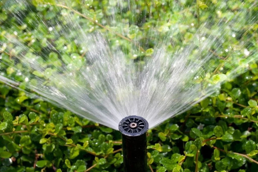Close-up of a damaged sprinkler head being replaced